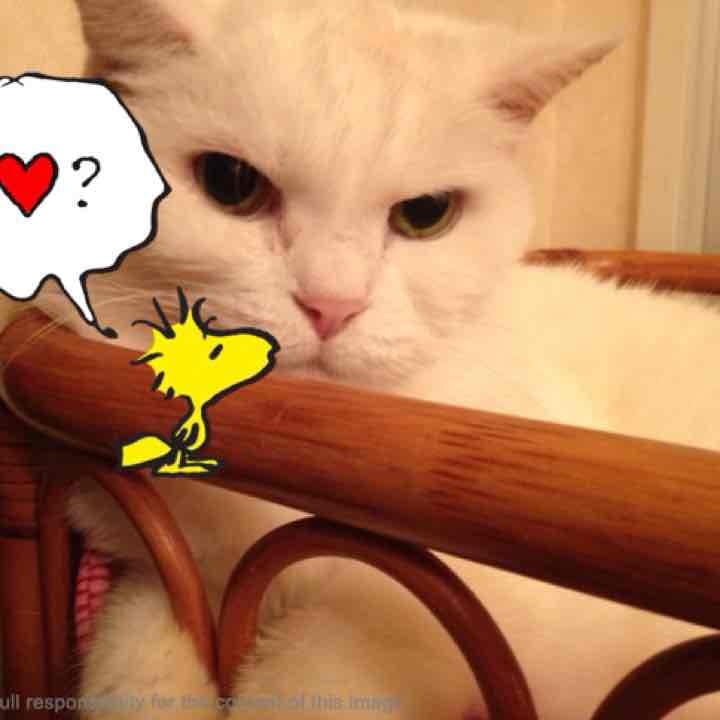 らい❤️