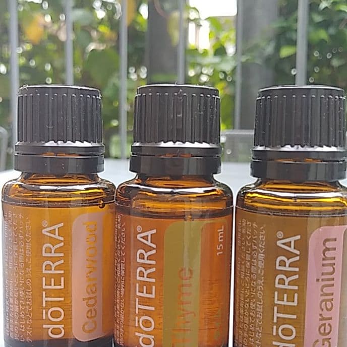 doTERRA　15mlの3本セット　シダーウッド、タイム、ゼラニウム
