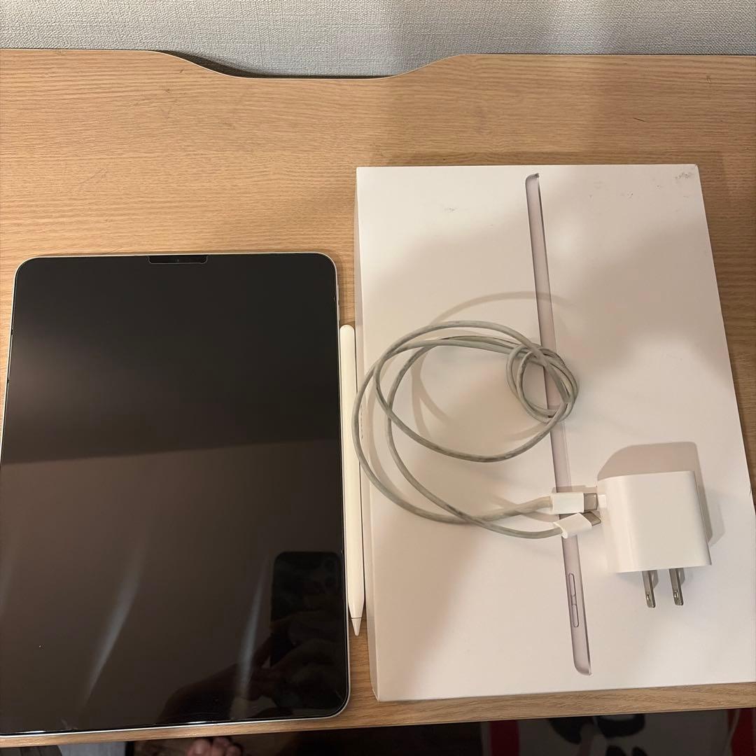 iPad pro(第1世代) 11インチ 256GB Wi-Fiモデル