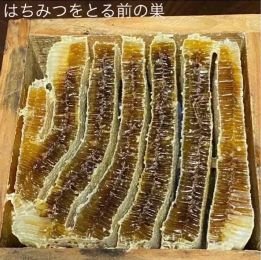 キャリコ 大容量 50ml×2＋30ml×5日本蜜蜂 肉球クリーム 無添加