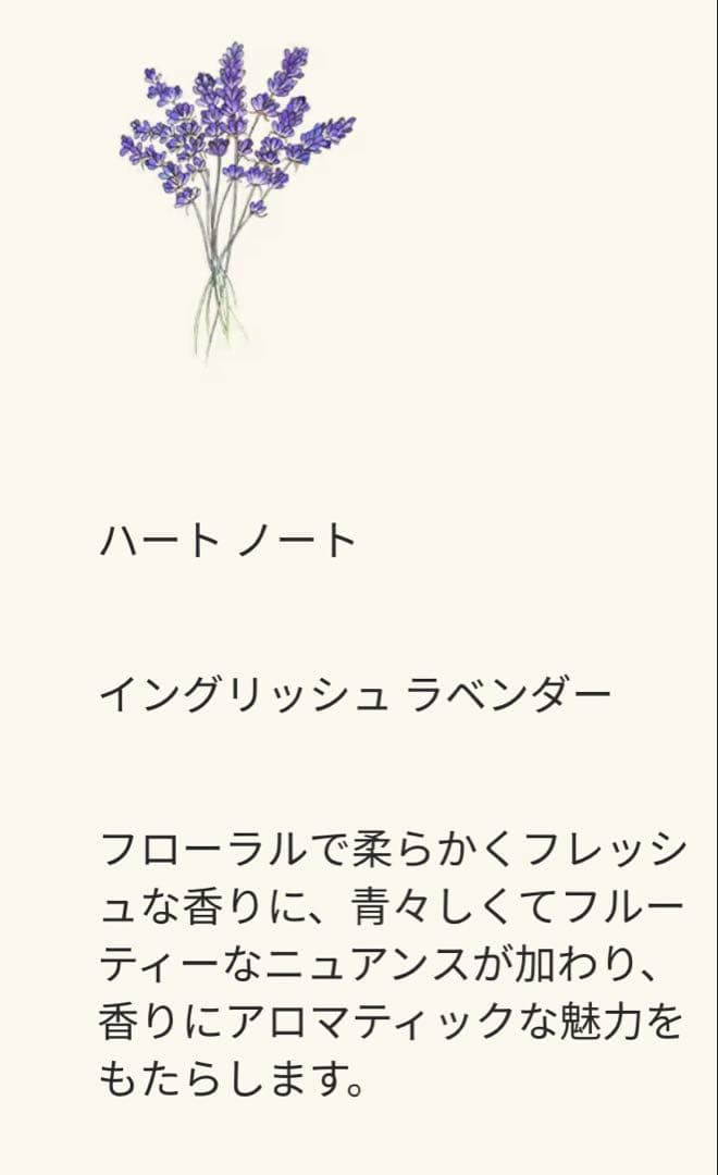 新品 ジョー マローン ロンドン シルバーバーチ＆ラベンダーコロン30ml